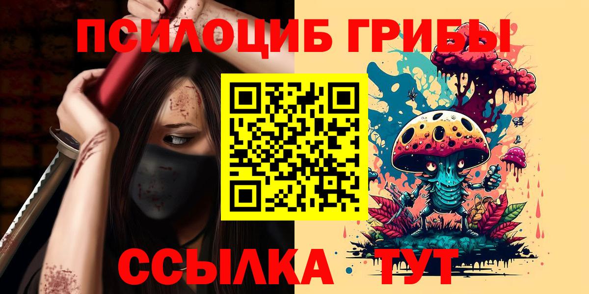 Псилоцибиновые грибы прущие грибы  продажа наркотиков  Камень-на-Оби  Вход с VPN 